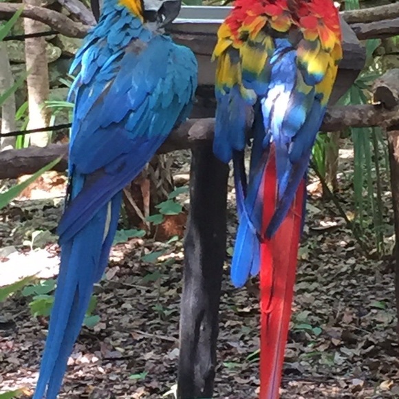 Meet your Posher, Rena - Picture 3 of 3